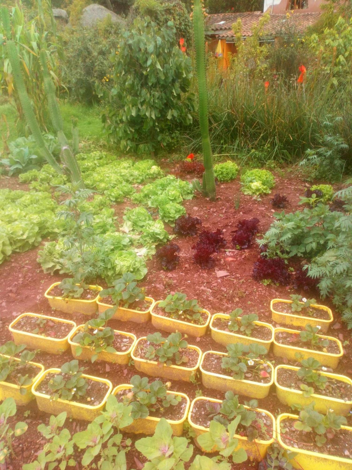 אורובמבה Ecolodge Ccatan מראה חיצוני תמונה