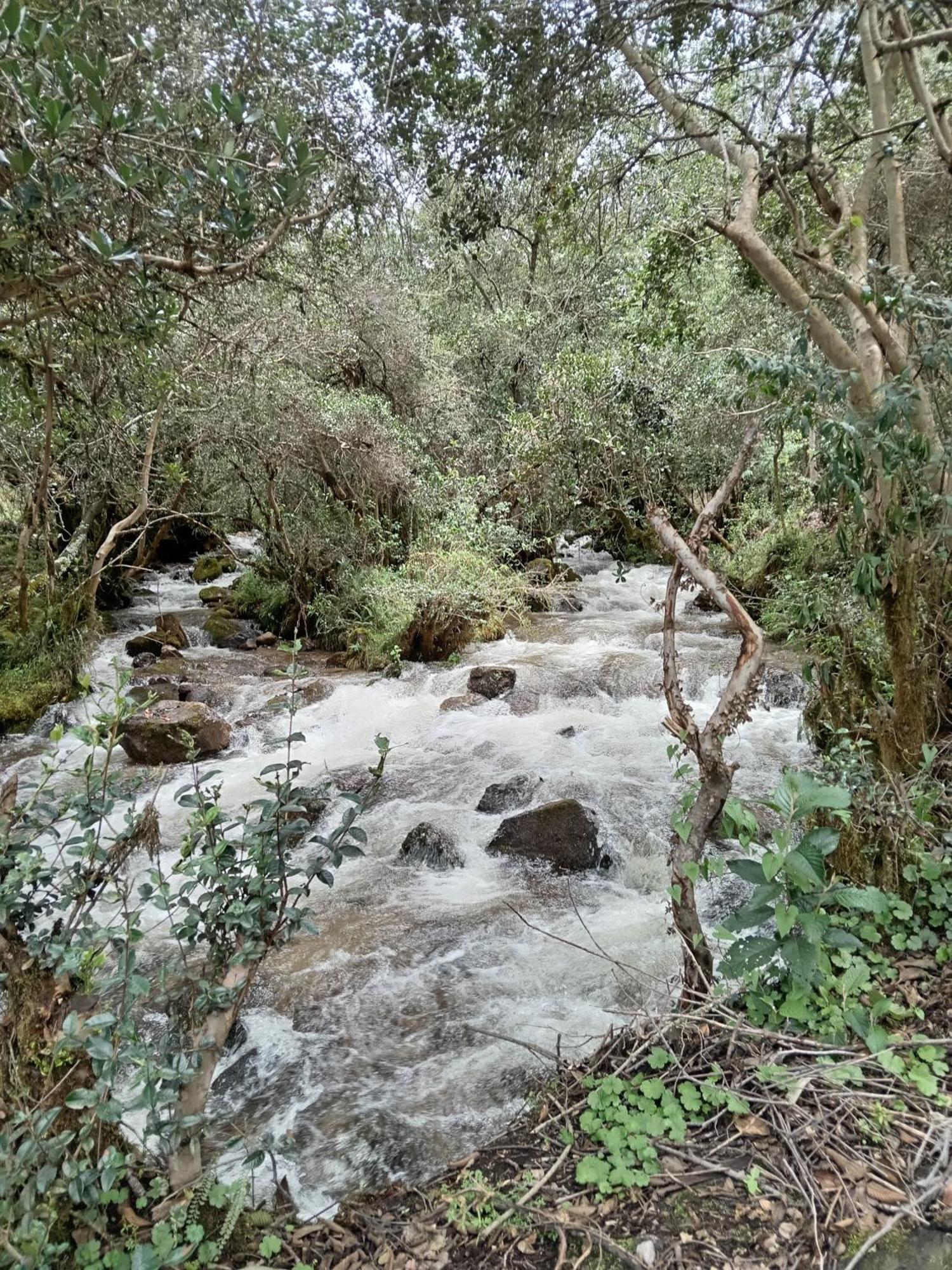 אורובמבה Ecolodge Ccatan מראה חיצוני תמונה
